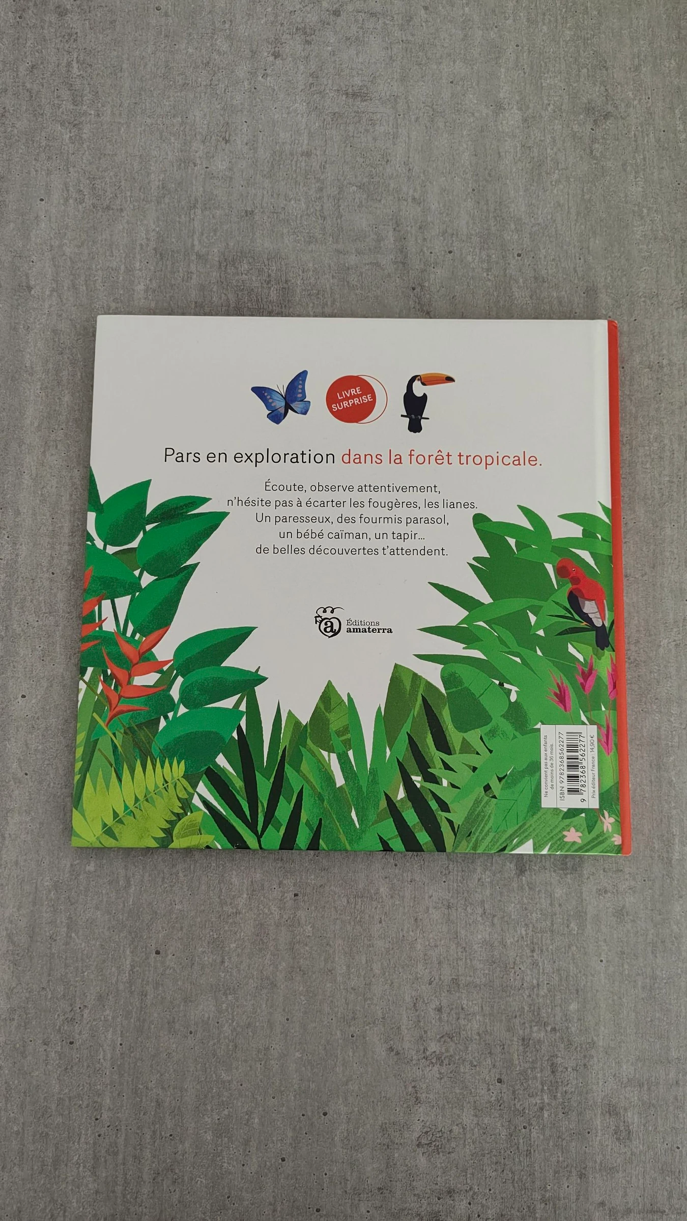 Libro "Escondido en la selva tropical" - Álbum para niños – photo 2